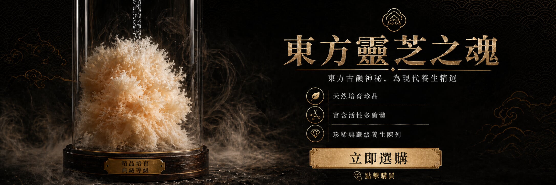 輪播圖